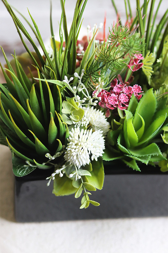 Landi, kompozycja z sukulentów w czarnej doniczce