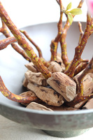 Magnolie Modern, kompozycja wiosenna w naczyniu