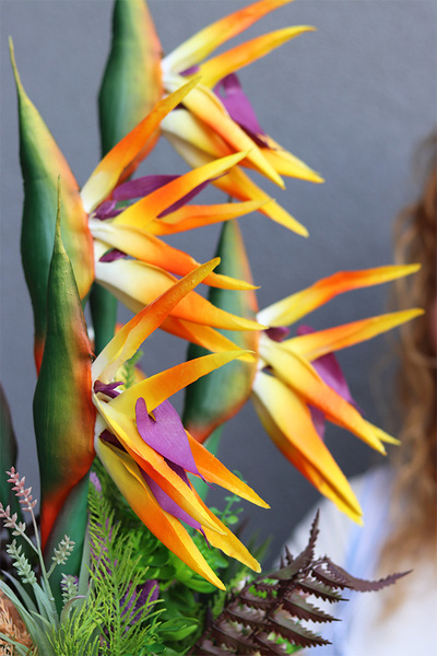 Strelicja Premium Hilton, kompozycja w srebrnej donicy