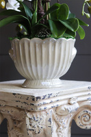 Pearl Embassy, nowoczesny storczyk w ceramicznym pucharze