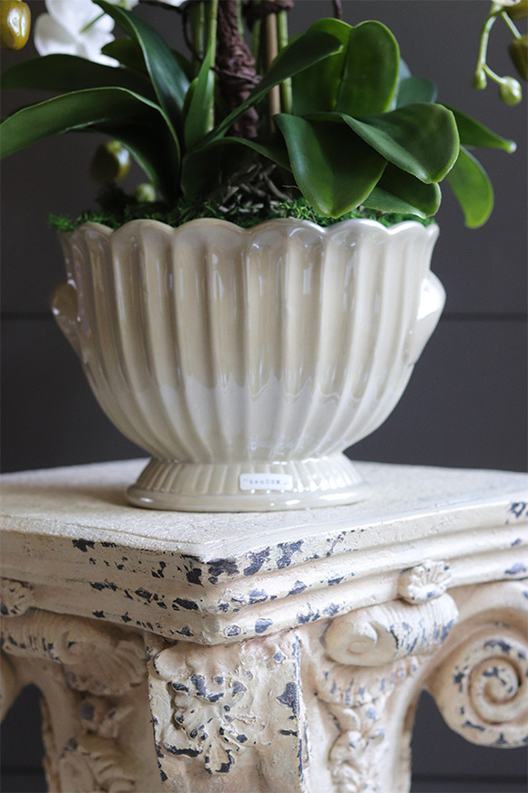 Pearl Embassy, nowoczesny storczyk w ceramicznym pucharze