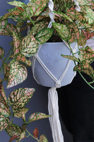 Green House, sztuczna roślina w wiszącej donicy