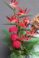 Strelicja Nedila Red, kompozycja w wysokim wazonie