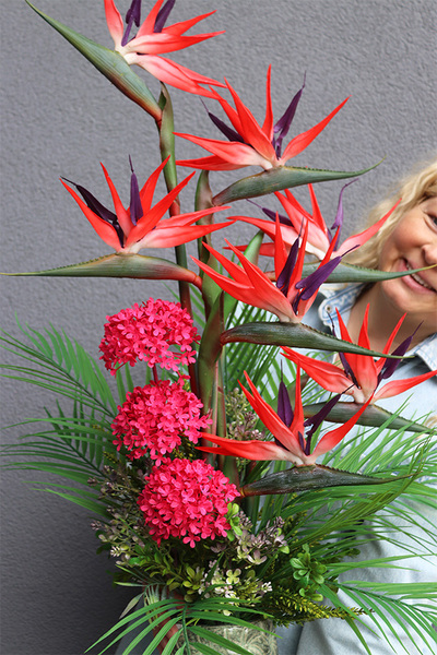 Strelicja Nedila Red, kompozycja w wysokim wazonie