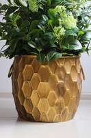 New Green Aguilera, drzewko sztuczne kolumnowe w donicy