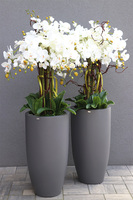 Fiberglass Grande Gray, storczyk w szarej donicy