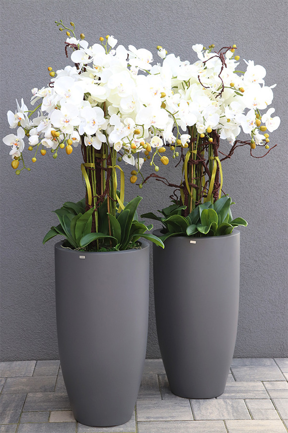 Fiberglass Grande Gray, storczyk w szarej donicy