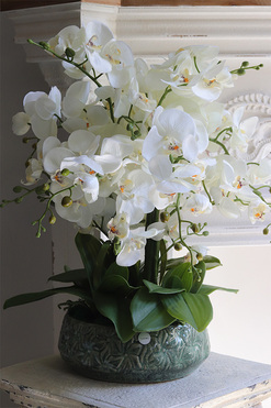 Nedila Wide, sztuczny storczyk w zielonej osłonce, wys.55cm 