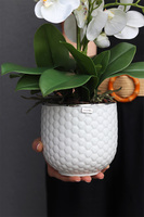 White Rebelina, sztuczny storczyk w białej doniczce