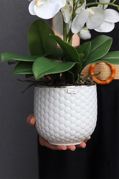 White Rebelina, sztuczny storczyk w białej doniczce