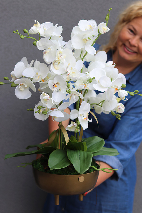 Złota Baśń, storczyk w złotej osłonce na nóżkach