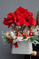 Amarylis Winter Premium 2, świąteczny stroik z czerwonym amarylisem