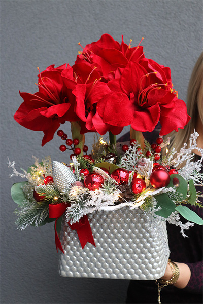 Amarylis Winter Premium 2, świąteczny stroik z czerwonym amarylisem