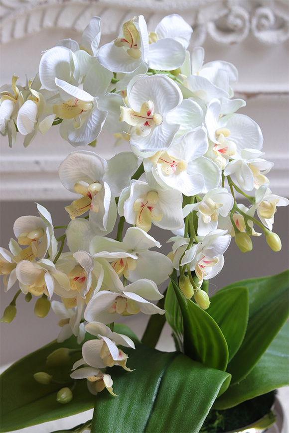 Mini Piano 2, sztuczny storczyk w lustrzanej donicy