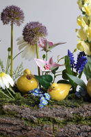 Meadow Wood Duck, wiosenna dekoracja kwiatowa