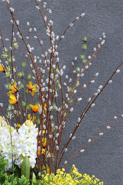 Wiosenne Trele, wiosenna kompozycja roślinna