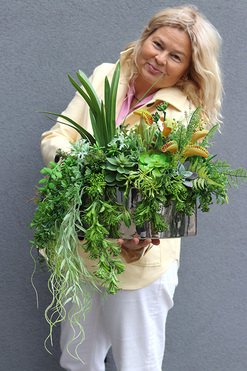 Greenede, kompozycja sukulenty w czarnej donicy, wys.40cm