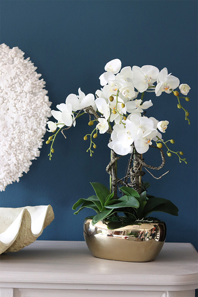 Agnesja, storczyk w złotej donicy glamour, wys.65cm