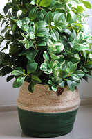 New Green Basket, drzewko sztuczne kolumnowe w donicy