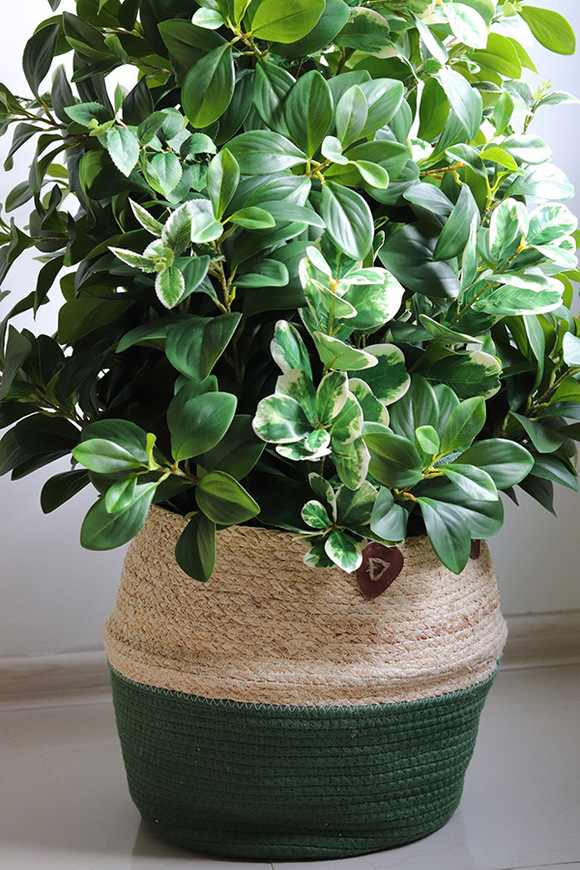 New Green Basket, drzewko sztuczne kolumnowe w donicy