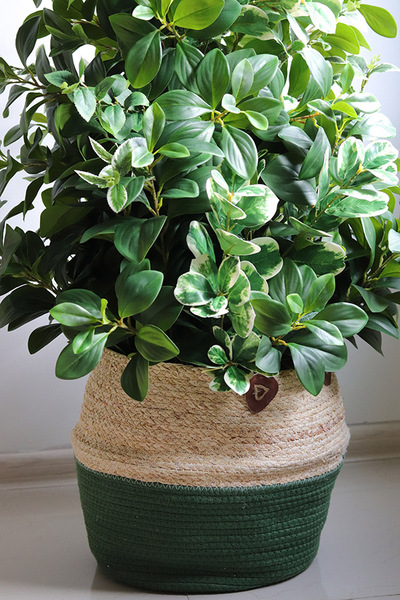 New Green Basket, drzewko sztuczne kolumnowe w donicy