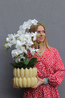 OD RĘKI Banana Blues, sztuczny storczyk w donicy, wys.69cm