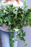 Green Palace, zielona girlanda