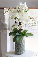 Nedila Tall, sztuczny storczyk w zielonej osłonce