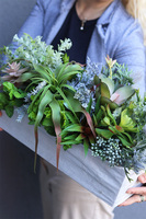 Albertina Sukulenty Saute, zielona dekoracja do twojej donicy