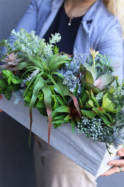 Albertina Sukulenty Saute, zielona dekoracja do twojej donicy, wym.30/18x57cm