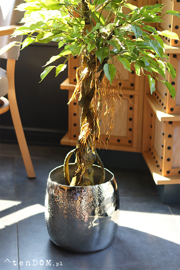 Fikus Benjamin D Deluxe, sztuczna roślina w donicy