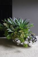 Ocean World, kompozycja marynistyczna w muszli sukulenty