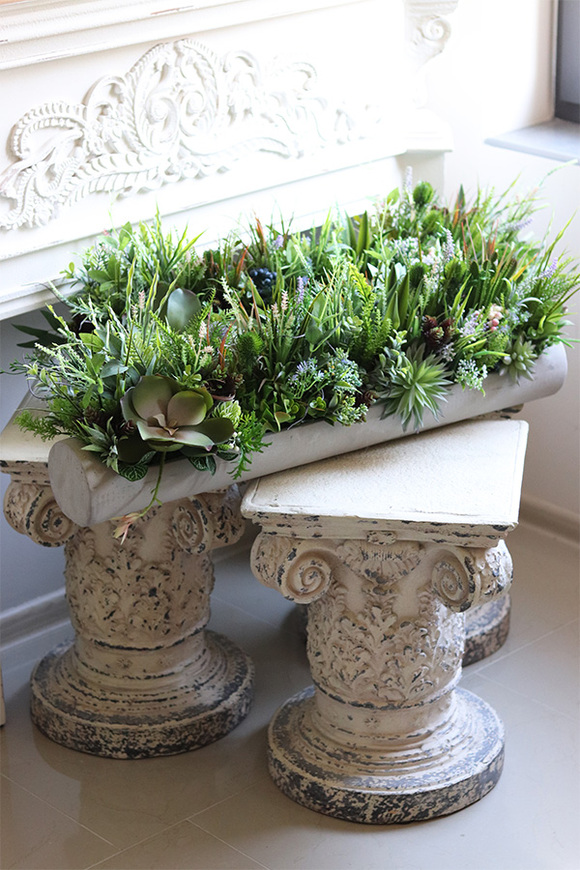 kompozycja sukulenty w długiej donicy, Hektor Modenato