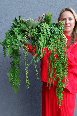 Laos Greeno 2, bogata kompozycja Sukulenty w lustrzanej donicy, wym.28x46cm 