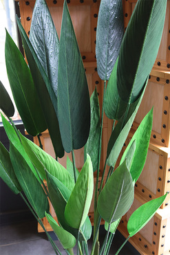 Strelicja Zielona, wysokiej jakości sztuczna roślina, wym.125cm