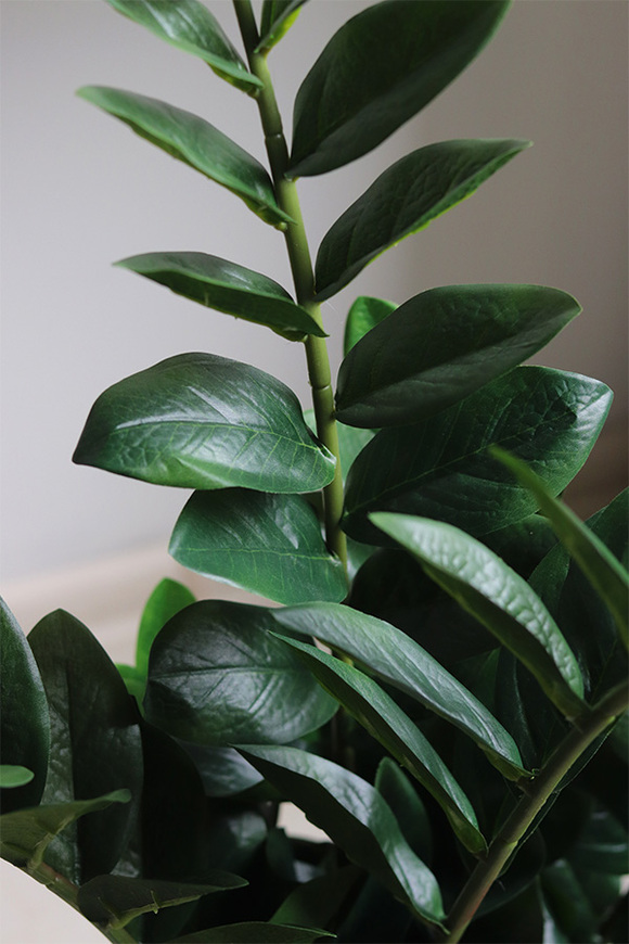 Zamiokulkas Natural, wysokiej jakości sztuczna roślina