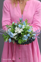 Navy Shell kompozycja marynistyczna w muszli