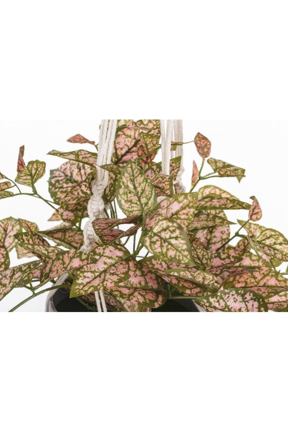 Hypoestes, sztuczne drzewko szczęścia w osłonce / donicy, wym.100x45x45cm