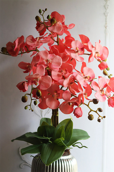 Coralovy Hilton, wysokiej jakości sztuczny storczyk, wys.67cm