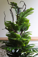 Monstera Deluxe, drzewko sztuczne w donicy