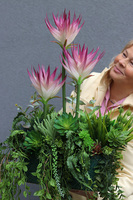 Grefire, sztuczna egzotyczna kompozycja ze zwisami, wys.70cm