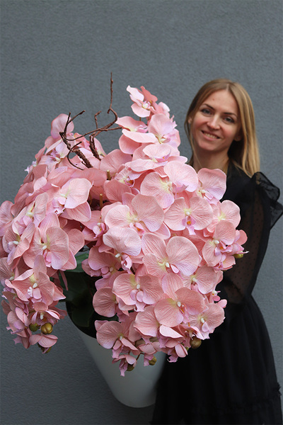 Mediolan Pudrowy Kiss, duży storczyk w białej donicy