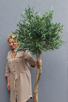 Oliwka Ares Blue, sztuczne drzewko w kobaltowej donicy