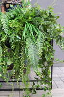 Asia Modern Judena, sukulenty w donicy na stojaku, wys.90x100cm