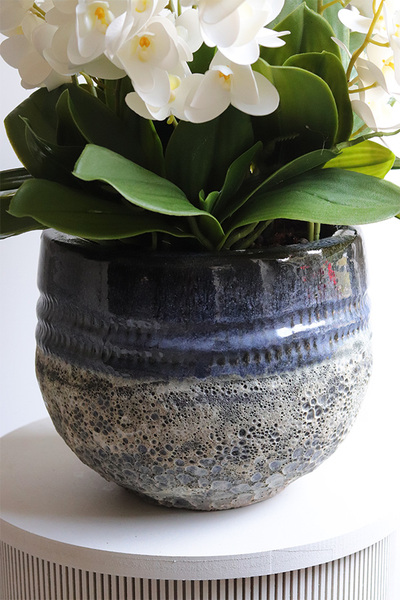 Greyera, sztuczny storczyk w ozdobnej donicy