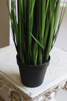 Lucida Green, sztuczna trawa