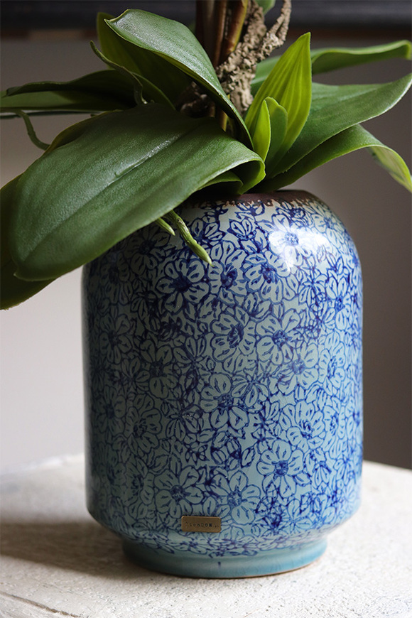 Pink Ocearo, różowy storczyk w niebieskim wazonie