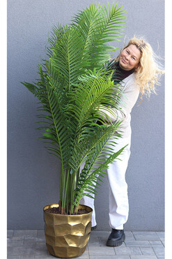 Palma Areca Deluxe, wysokiej jakości sztuczna palma w metalowej donicy, wys.184cm