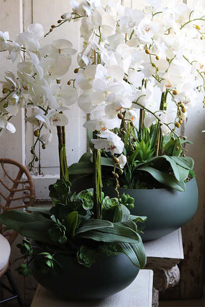 Greenera 2, storczyk z sukulentami w metalowej misie, wys.80cm