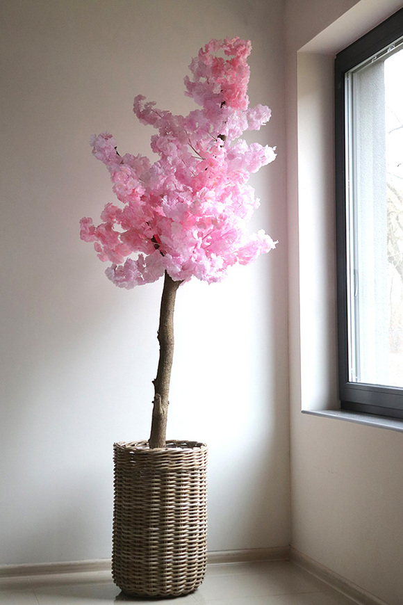 Jabłoń Sakura, sztuczne drzewko w koszu